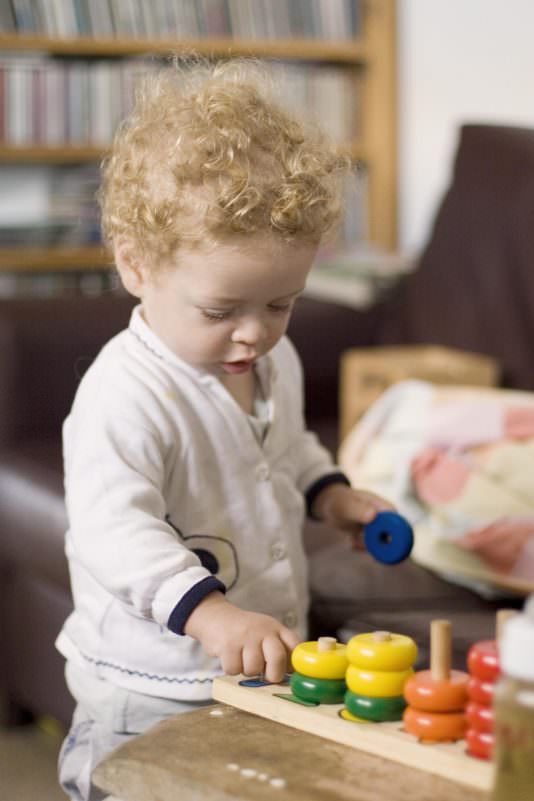 toddler matching and sorting developmental milestone