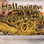 Halloween Sensory Bin