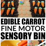 Sensory Activities for Kids: Carrot Sensory Bin