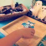 Owl Babies Counting Activity