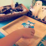 Owl Babies Counting Activity